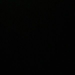 Meet your Posher, Terry